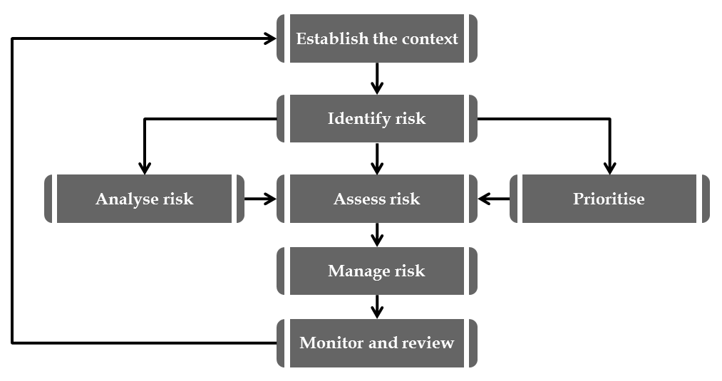 ANALYZING AND MANAGING COUNTRY RISKS