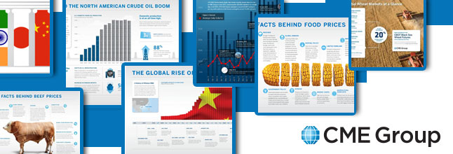 Risk Management Overview CME Group