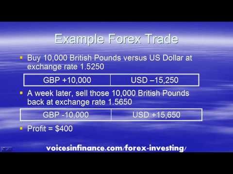 The Beginner s Guide to Beginning in Forex The Beginner s Guide to Beginning in Forex