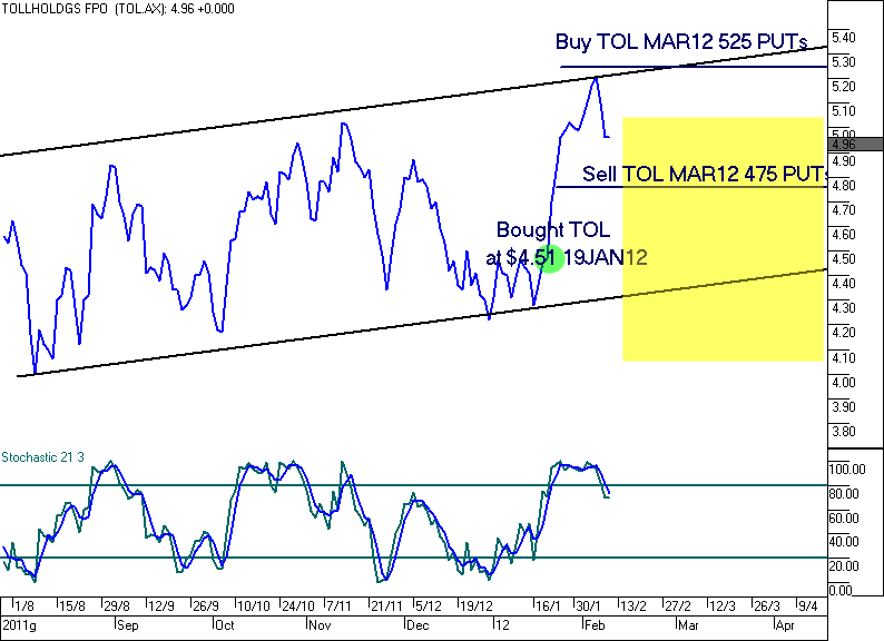 Bearish Options Trading Strategies Put Hedge