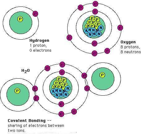 Types of Bonds