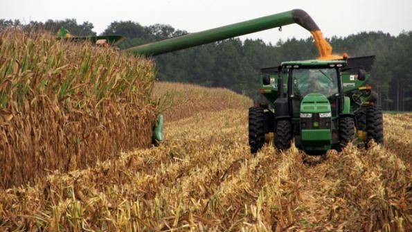 USDA crop report Big yields to be joined by big Brazil soy crop Farm Futures