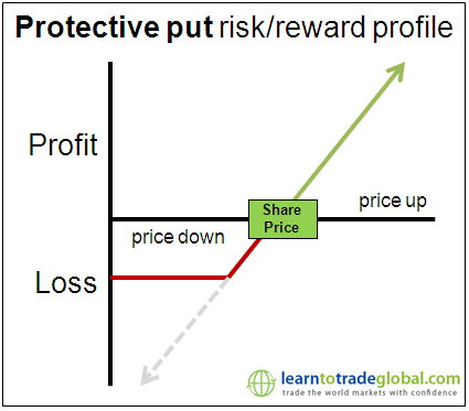 Using Puts to Protect Profits and Hedge Risk