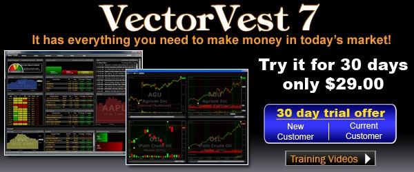 VectorVest VectorVest Research Stock Valuation