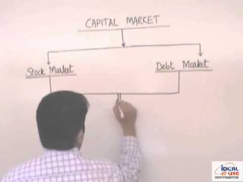 What Are the Differences between Capital Markets and Money Markets