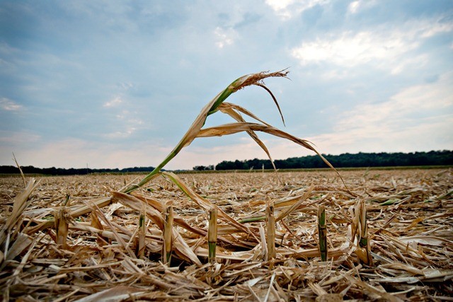 What Are The Financial Risks Of Climate Change