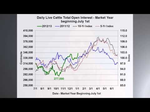 What happened to open interest in the cattle futures market