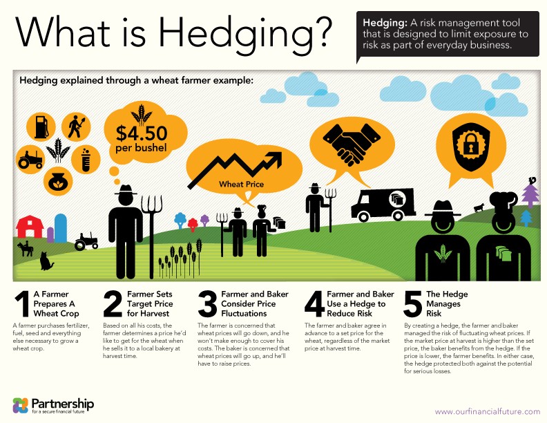 What is a Hedge What is a Hedge