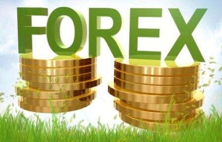 A Beginner s Guide to the Forex Market