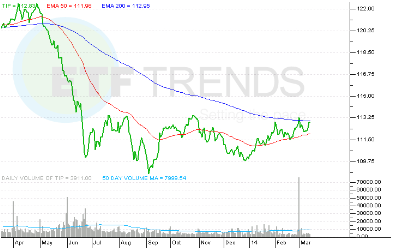 What Bond ETFs Are Saying About The Economy In 2014 iShares TIPS Bond ETF (NYSEARCA TIP)