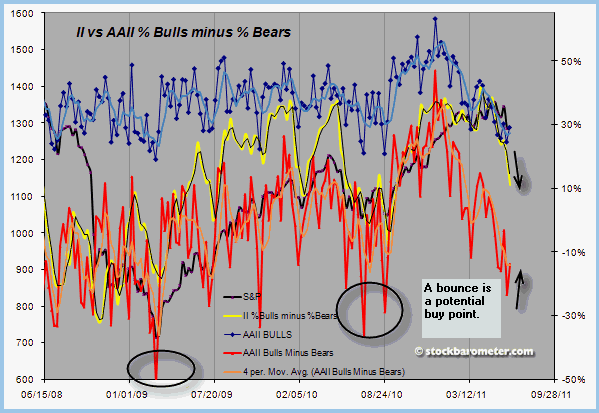 AAII The American Association of Individual Investors