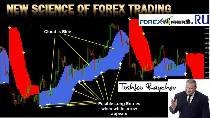 About Forex Market Science