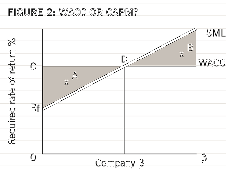 CAPM Issues