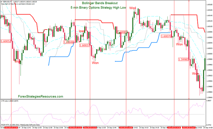 Trade binary options llc review vs spot forex