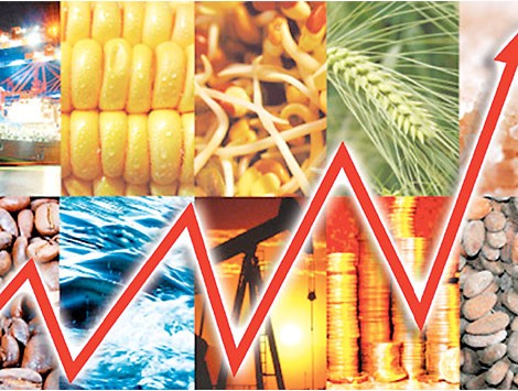 The Commodities Market