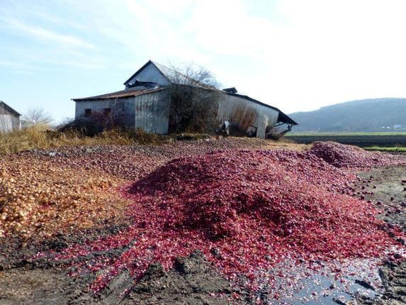 Commodity traders Know your onions