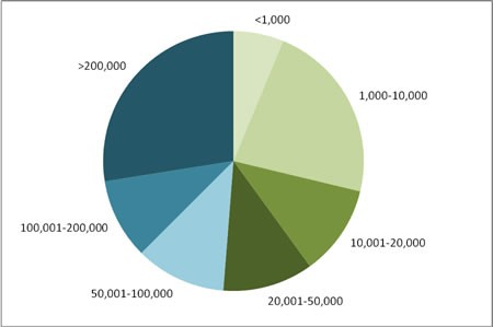 Does Size Matter for Successful Endowment Investing