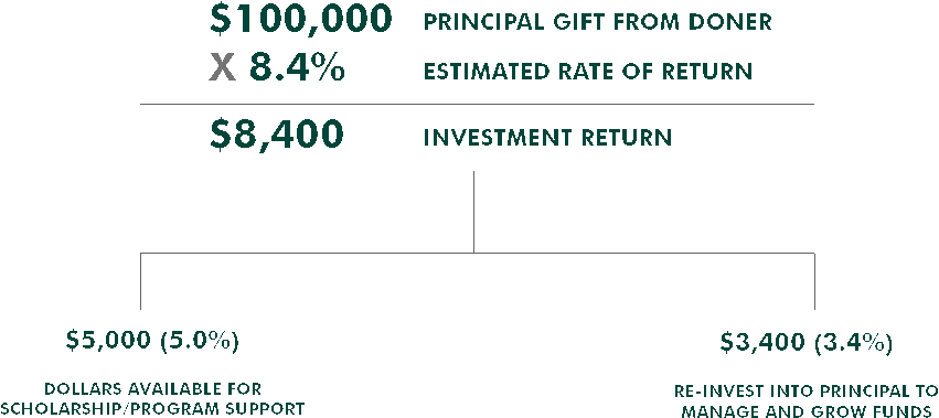 Endowments What are they and how do they work