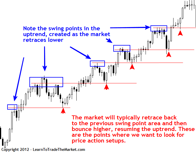 Price Action Guide to How the Forex Market Moves