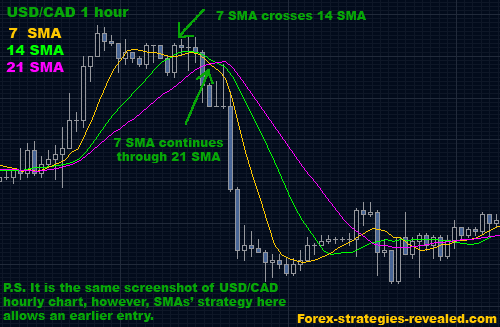 Forex Trading Strategies