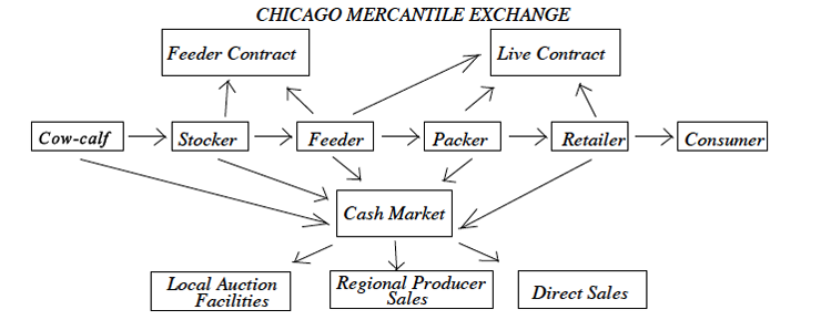 Futures Trading Money Management