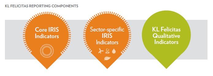 Global Impact Investing Network Impact Investing