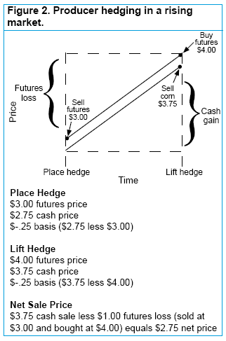 Hedging For Dummies