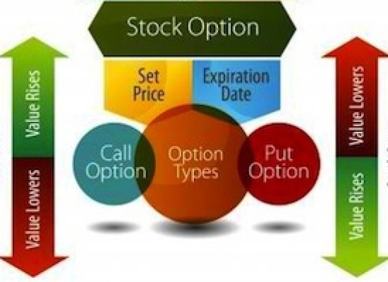 Insuring Portfolio with Put Options or VIX Call Options