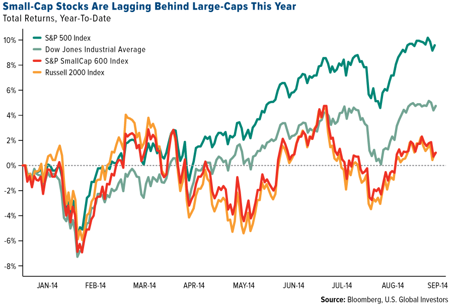 Rally as Russell 2000 Reaches Record Bloomberg Business