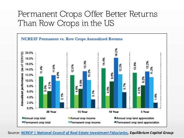 More Thoughts on Fad Investing