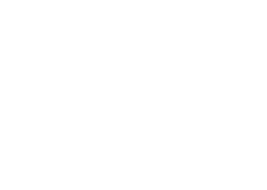 The Three Fund Portfolio