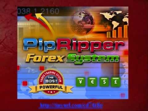 PipRipper Forex System For Scalping Day Trading And Swing Trading! Forex Strategies 2 0