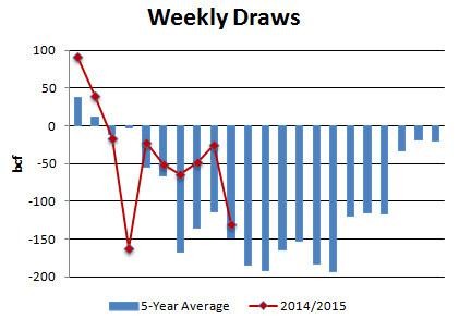 Rebalancing Your Portfolio and Other Investory Terms