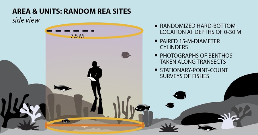 Risk Measurement A Survey of the Basic Methods