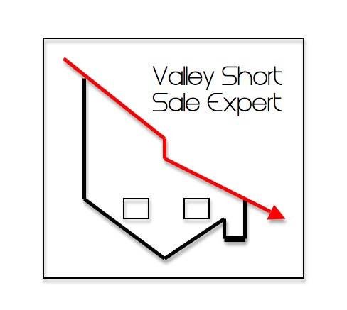 SHORT SALE EXPERT ADVICE