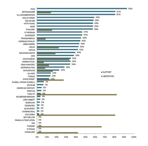 Vanguard s proxy voting guidelines