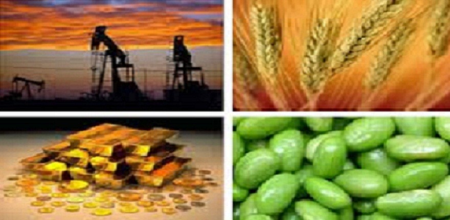 What Are Commodities Investments And How Can You Invest In Commodities