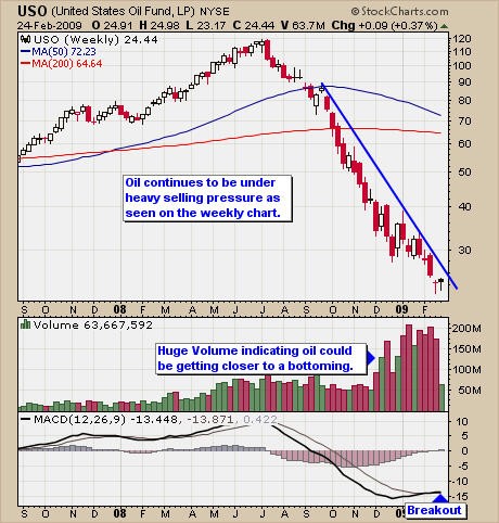 What are Your Chances of Success as a Trader » Learn To Trade