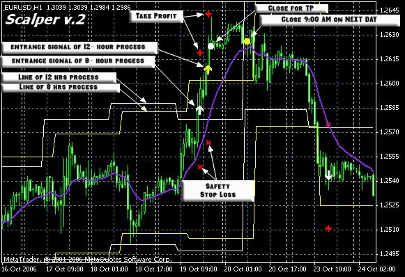 Successful Forex Trading Strategies