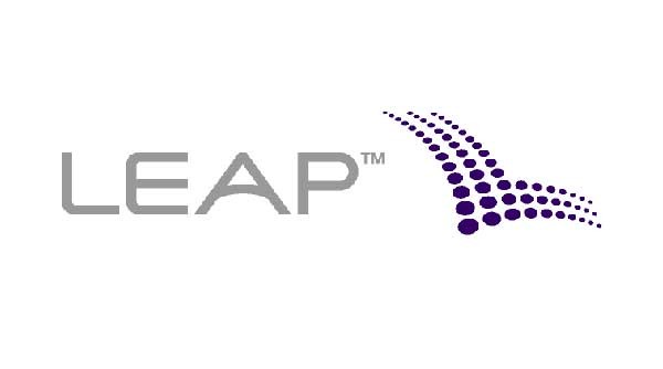 Buy LEAPS LEAP Option Drawbacks