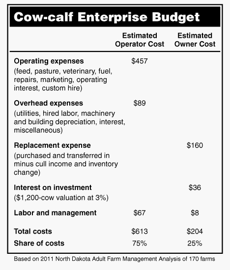 Cattle Lease Agreements