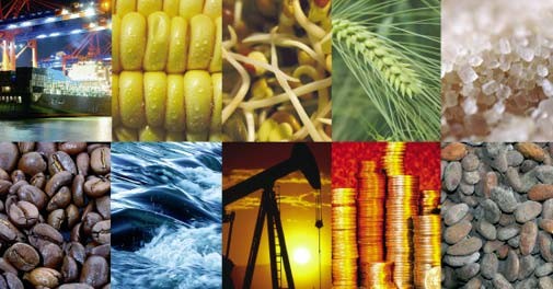 Commodities Which Commodities Should You Trade