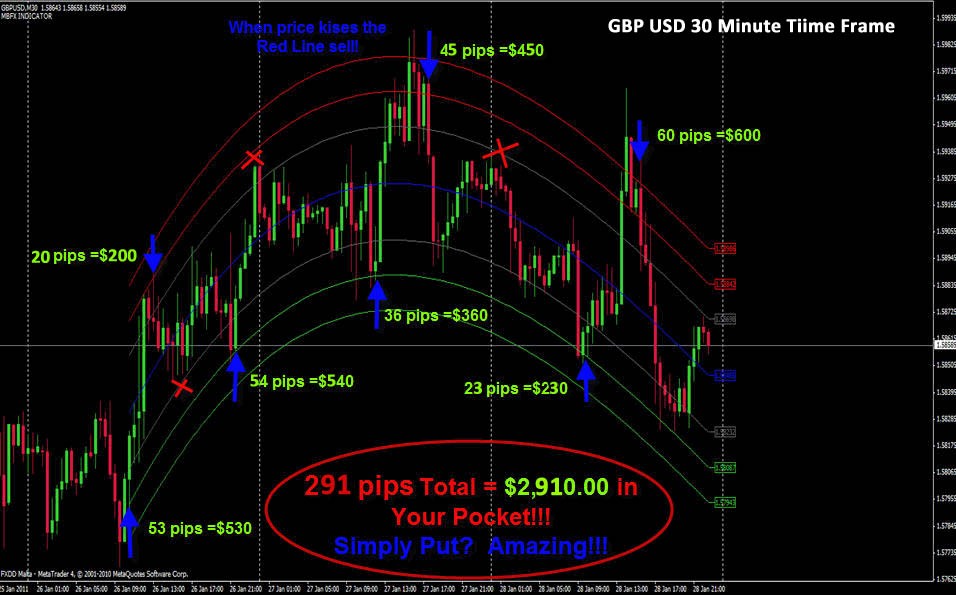 Trade Forex With A Directional Strategy Forex Trading RobotForex Guide Online Beginner Forex