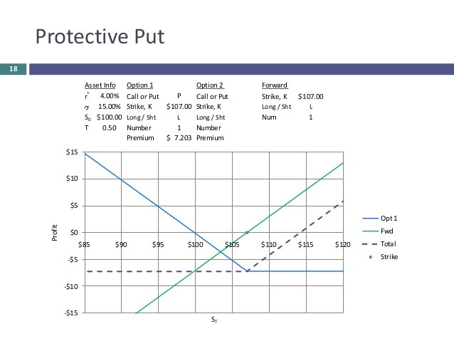 Equity Option Strategies Protective Puts