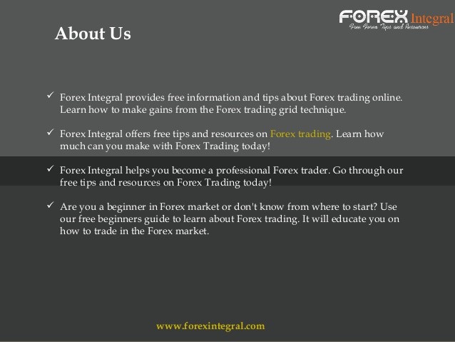 Forex Trading Strategies That Work Newbie Forex Tips That You Must Know