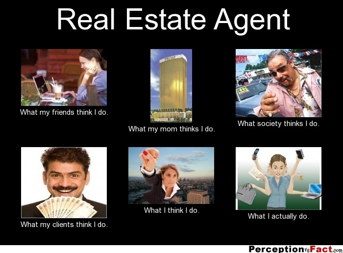 Real Estate Agent V