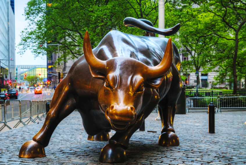 How to Bet on OilWhether Bull or Bear