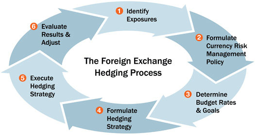 Specifics of risk management strategies for hedging