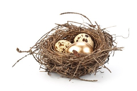 Investing Ideas Don t put all your eggs in one basket