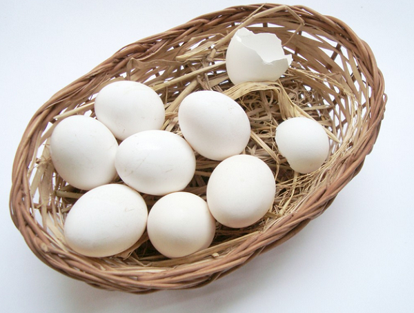 Investing Ideas Don t put all your eggs in one basket